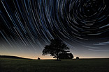 The tree and the stars - Startrails for a lonely tree